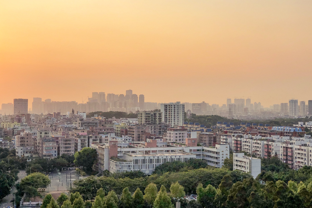 ILD Builder and the Future of Customer Trust in Real Estate